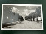 AKVDE24 - Giurgiu - Strada principala Foto, Circulata, Printata