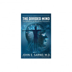 The Divided Mind: The Epidemic of Mindbody Disorders