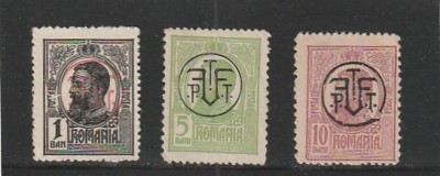 ROMANIA 1919 LP 71 I CAROL I SUPRATIPAR P.T.T.F.F. NESTAMPILATE FARA GUMA foto
