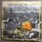 Crizantema de Aur Romante selectii disc vinyl lp muzica usoara STM EPE 01374 VG+