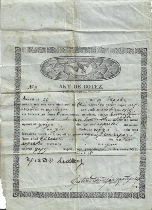 A3151N Act de botez, ortodox, anul 1855, dat de preotul satului Borăscu, județul Gorj, limba rom&acirc;nă cu caractere chirilice