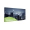 Tablou fosforescent Hong Kong