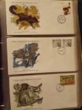 FAUNA WWF - 3 PLICURI PRIMA ZI