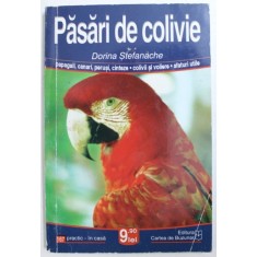 PASARI DE COLIVIE de DORINA STEFANACHE