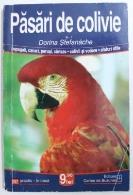 PASARI DE COLIVIE de DORINA STEFANACHE foto