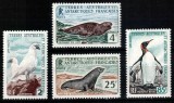 Teritoriile Antarctice Franceze TAAF 1960, Mi #19-22**, fauna, pasari, pinguini, foci, MNH! Cota 120 &euro;!