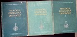 TEOLOGIA DOGMATICA ORTODOXA VOL.1-3-DUMITRU STANILOAE-276744