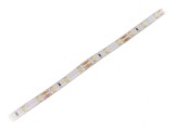 Bandă LED alb rece 12V IP65 12W/m