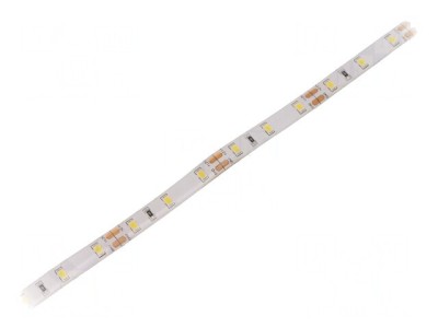 Bandă LED alb rece 12V IP65 12W/m foto