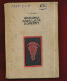 &quot;Anatomia animalelor domestice&quot; V. Ghetie - Bucuresti 1967