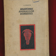"Anatomia animalelor domestice" V. Ghetie - Bucuresti 1967