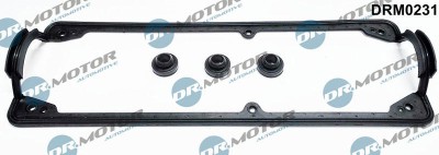 Set Garnituri, Capac Supape 286352 DRM0231 foto