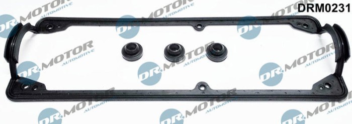 Set Garnituri, Capac Supape 286352 DRM0231