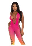 Body Bodystocking Leg Avenue Ombre Faux Lace Up Footless Roz, S-L