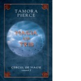 Magia lui Tris - Cercul de magie, Volumul 2 - Tamora Pierce
