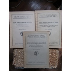 SFATUL DOMNESC SI ADUNAREA STARILOR de GHEORGHE I. BRATIANU 3 VOL