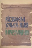 Razboieni Valea-Alba si Imprejurimile - Colectiv, 1977, Istorie Romania, 350 pagini