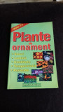 PLANTE DE ORNAMENT