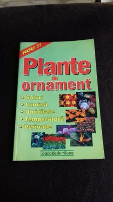 PLANTE DE ORNAMENT foto