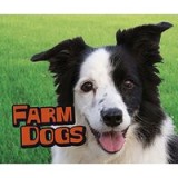 Farm Dogs (Pebble Plus: Farm Animals)