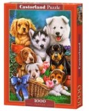 Puzzle Castorland 1000 piese Catelusi