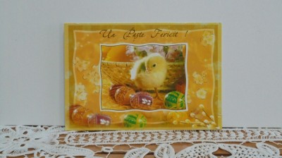 FELICITARE DE PASTI - PUI DE GAINA CU OUA INCONDEIARESI FLORI - ED. FELICIM ND foto