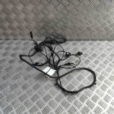 Cablaj ușă st&acirc;nga spate BMW X6 E71, E72 2009 OEM: 9203116,9207862 31318782