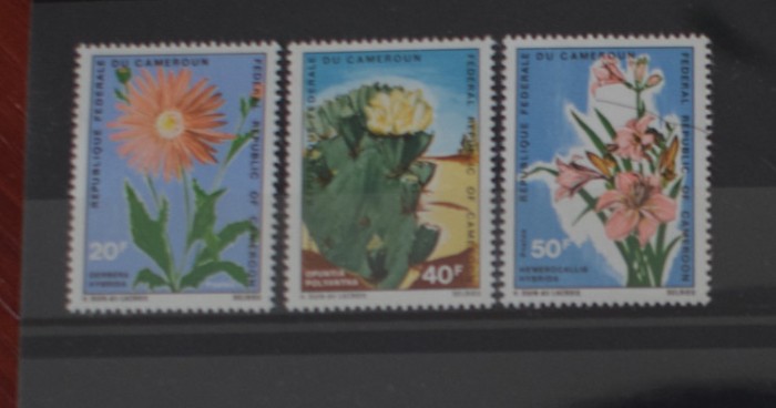 TS24/01 Timbre Serie Cameroun -