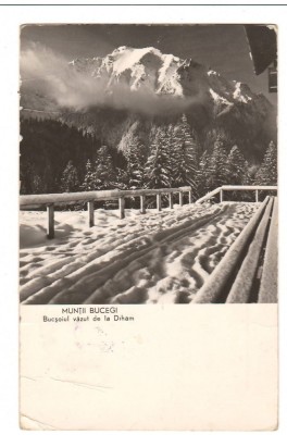 CPI B14217 CARTE POSTALA - MUNTII BUCEGI. BUCSOIUL VAZUT DE LA DIHAM, RPR foto