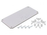 Placă de montare h&acirc;rtie tare 74x160x2.5mm
