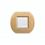 Placa ornament ,2 module, artar, living light, BTICINO