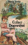 Cumpara ieftin Calea Domnitei - Maria Ionita - Ilustratii Silvia Cotovanu - Editura Ion Creanga 1987 - Carte Basme Copii