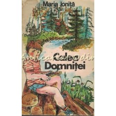 Calea Domnitei - Maria Ionita - Ilustratii: Silvia Cotovanu