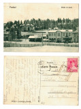 Cumpara ieftin Predeal 1930 - Vedere iarna, ilustrata circulata
