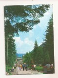 RF220 - Carte Postala - Slanic Moldova. vedere din parc, circulata 1984