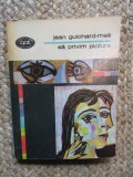 SA PRIVIM PICTURA - JEAN GUICHARD MEILI