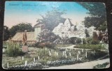 Carte postala, Gradina Botanica din Cluj, 1924