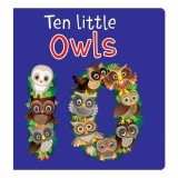 Ten Little Owls, Page Publications