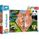 Puzzle Trefl 100 piese Natura Frumoasa, multicolor, pentru copii 6+ ani