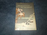 GHIORGHI GUREVICI - PROMOROACA PE PALMIERI 1956