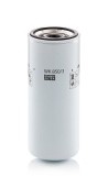 Filtru combustibil