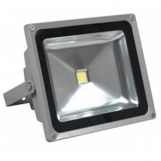 Proiector LED 50W Lumina Alba Rece 220V foto