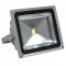 Proiector LED 50W Lumina Alba Rece 220V