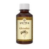 Sirop digestiv de Ghimbir, 200ml, Faunus Plant