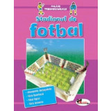 Jucarii tridimensionale - Stadionul de fotbal |