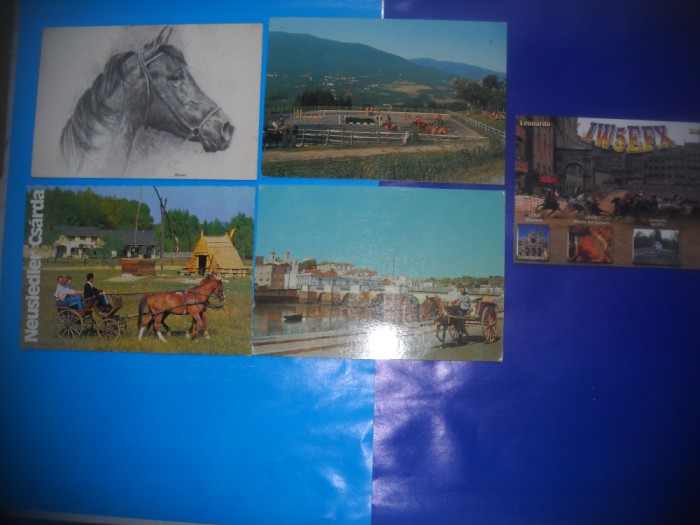 HOPCT LOT NR 407 CAI -FAUNA -5 CARTI POSTALE-CIRCULATE