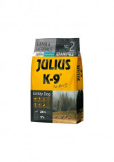 Julius K9 Senior-Miel si Ierburi - 10 kg - Hrana completa super-premium,... foto