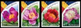 Romania MNH 2023 - Bujorul floarea nationala a Romaniei - LP 2418, Nestampilat