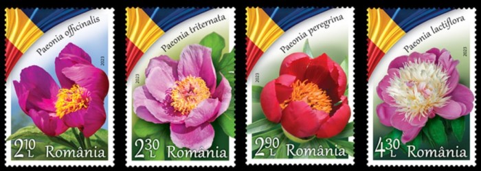 Romania MNH 2023 - Bujorul floarea nationala a Romaniei - serie - LP 2418