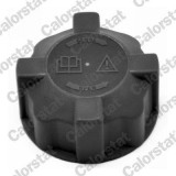 Buson vas expansiune Alfa Romeo 145, 146, 147, 156, 156 Sportwagon, GT; Fiat Albea, Brava, Bravo I, Doblo, Doblo Cargo, Doblo Sasiu; Lancia Musa